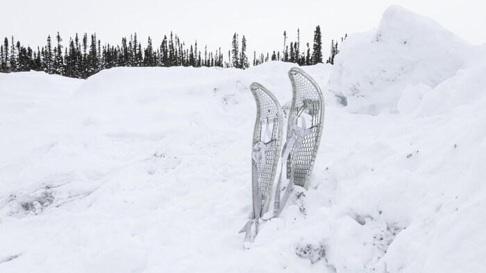 Des raquettes dans un banc de neige.