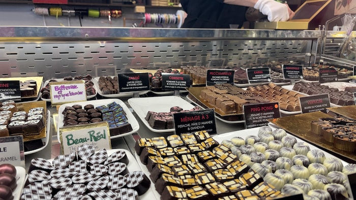 Il y a plusieurs choix de chocolats dans la vitrine.