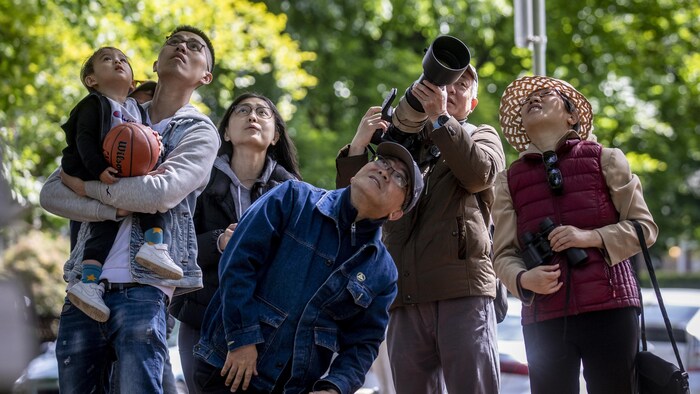 Des personnes se rassemblent pour prendre des photos d'une chouette rayée nichant dans un arbre au parc Douglas à Vancouver, C.-B., le vendredi 23 mai 2025.