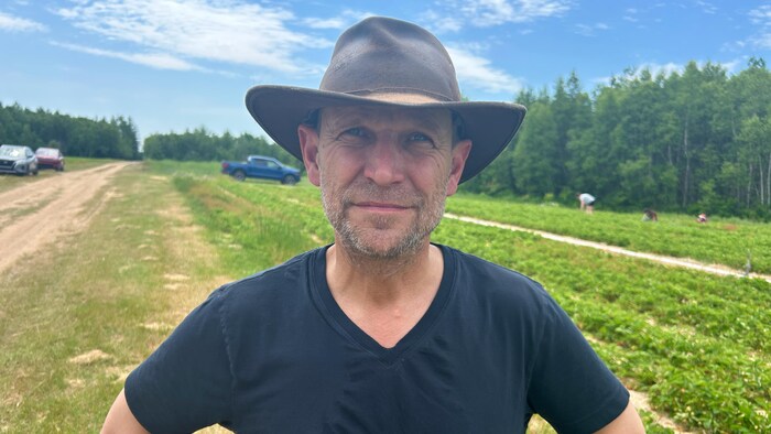 Christian Michaud devant un champ de fraises cultivées.