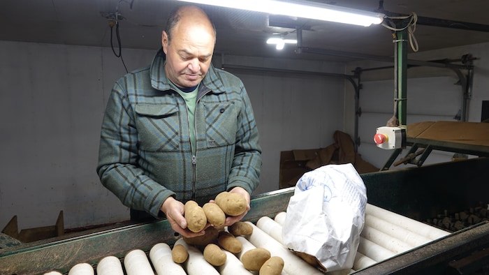 Une photo de Christian Poirier, dans ses installations. Il tient dans ses mains trois pommes de terre.