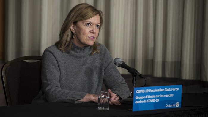 La ministre ontarienne de la Santé, Christine Elliott, en conférence de presse.