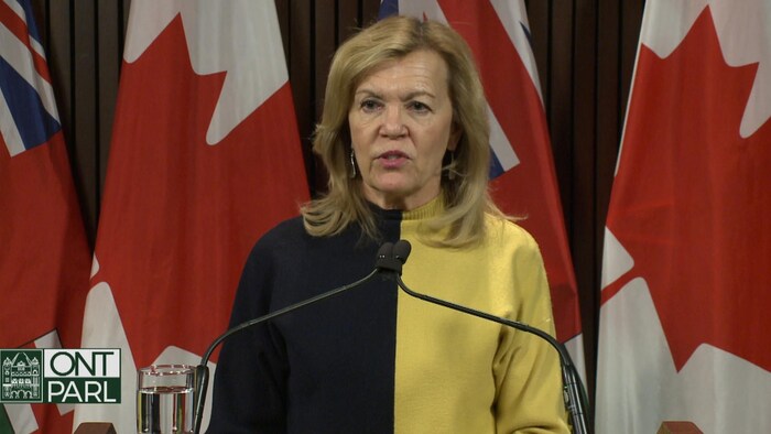 La ministre de la Santé de l'Ontario, Christine Elliott, en conférence de presse.
