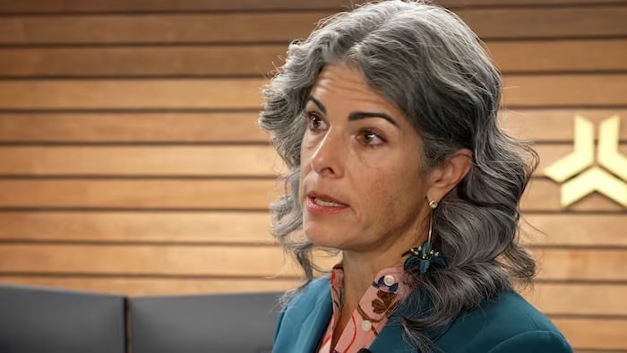 Christyn Cianfarani, présidente-directrice générale de l'Association des industries canadiennes de défense et de sécurité.