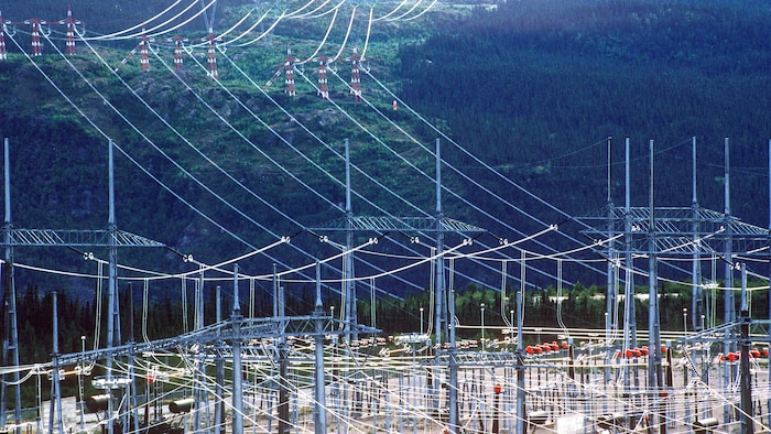 Des fils et des pylônes électriques au milieu d'une forêt.