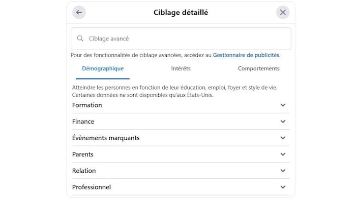 Capture d'écran du ciblage publicitaire détaillé que permet Facebook.