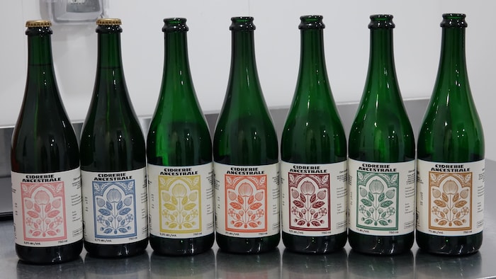 Des bouteilles de cidre différentes sur un comptoir.