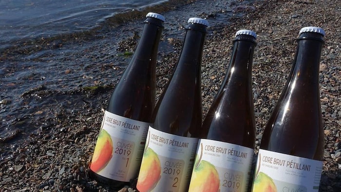 Des bouteilles de cidre sur la grève.