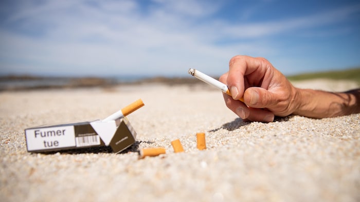 France : la cigarette interdite dans les parcs et autres lieux publics | Radio-Canada France : la cigarette interdite dans les parcs et autres lieux publics | Radio-Canada