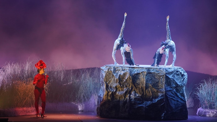 Le spectacle du Cirque du Soleil Vive nos divas en images | Radio-Canada