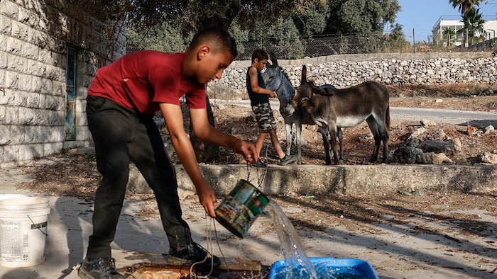 Un jeune garçon palestinien apporte de l'eau à ses ânes.