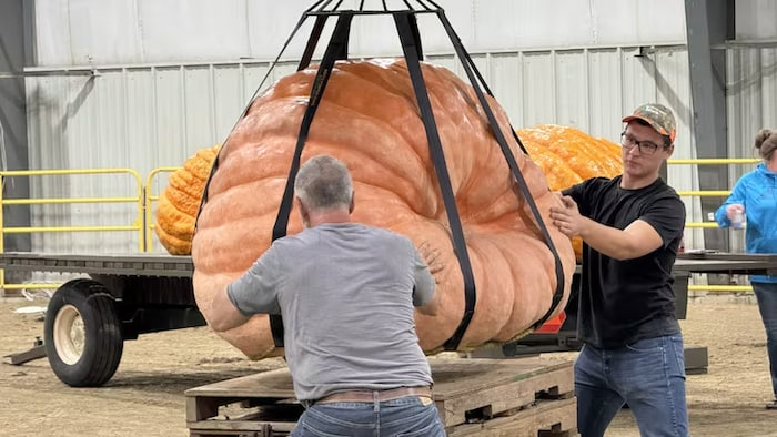 Automate Citrouille Géante 182cm - Animée Son Et Lumière - Déco Halloween