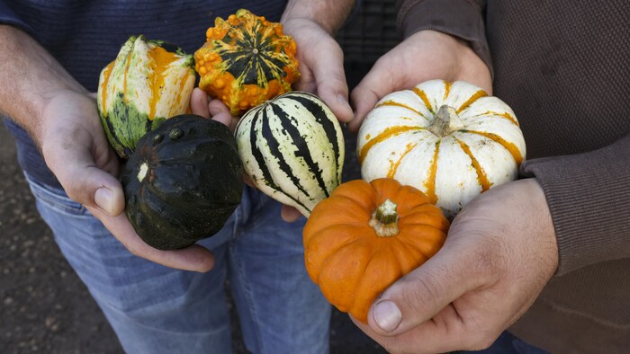 Les frères Patrick et Christopher Butters tiennent des citrouilles et des courges de leur ferme.