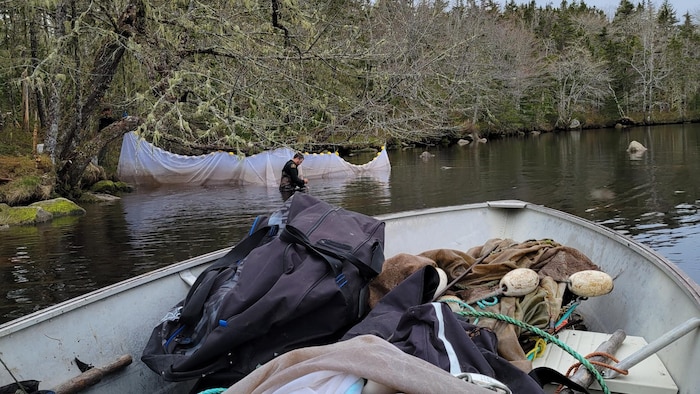 Un bateau est rempli de matériel de pêche illégal. Un agent de Pêches et Océans Canada est debout dans l'eau en train d'inspecter un filet.