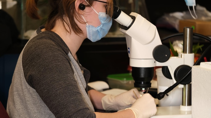 Claire Gooding dans son laboratoire à l'Université Simon Fraser.
