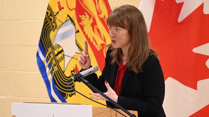 Une personne aux cheveux roux pointe vers le haut. Elle est devant des drapeaux du Nouveau-Brunswick et du Canada. 