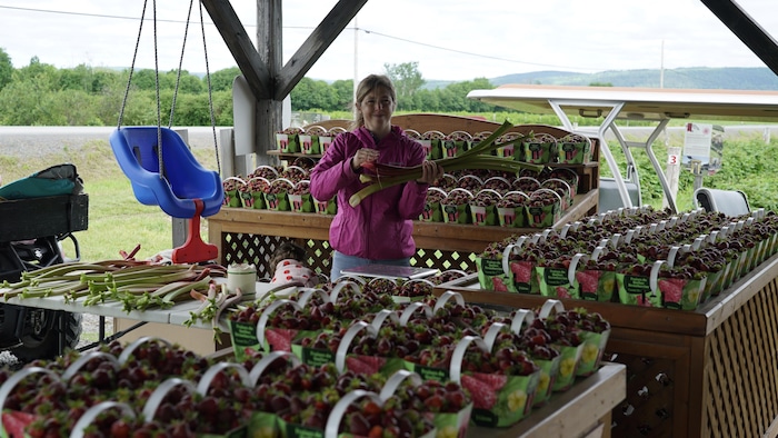 Une femme entouré de fraises tient des rhubarbes entre ses mains.