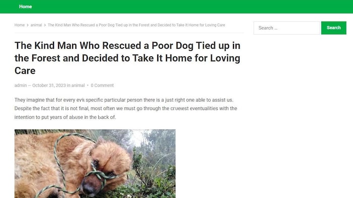 Capture d'écran d'un article au sujet d'un chien ligoté qui a été sauvé par un  homme. 