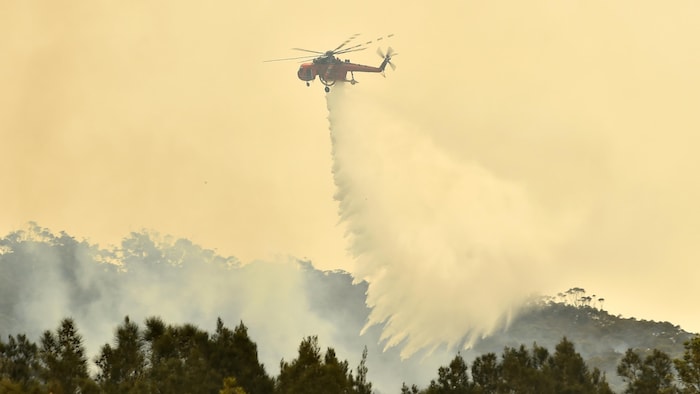 Un hélicoptère jette de l'eau sur un feu de forêt.