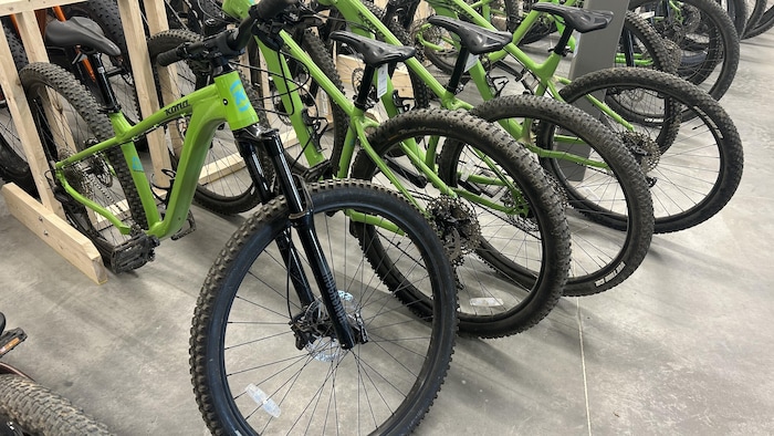 Des vélos de montagne.