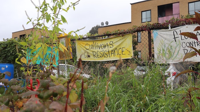 Des banderoles avec des slogans pour la protection du site sont installées sur une clôture, près de bâtiments résidentiels.