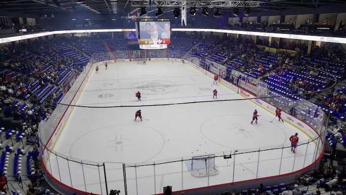 Une patinoire professionnelle.