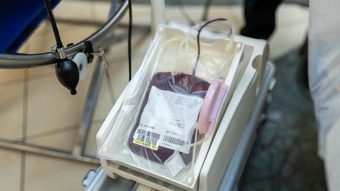 un sachet de sang après une collecte 