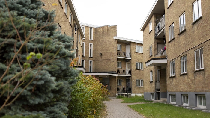 Vue d'un immeuble abritant de multiples logements.