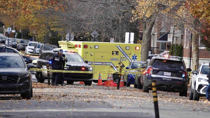 Des voitures de police et une ambulance sont garées dans un périmètre de sécurité, à côté de cônes de signalisation qui entourent le corps de la victime recouvert d'une couverture.