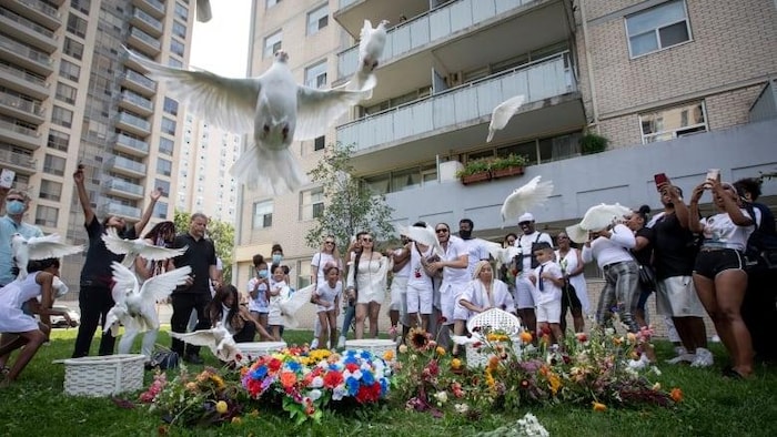 Des colombes s'envolent devant un immeuble à Toronto.