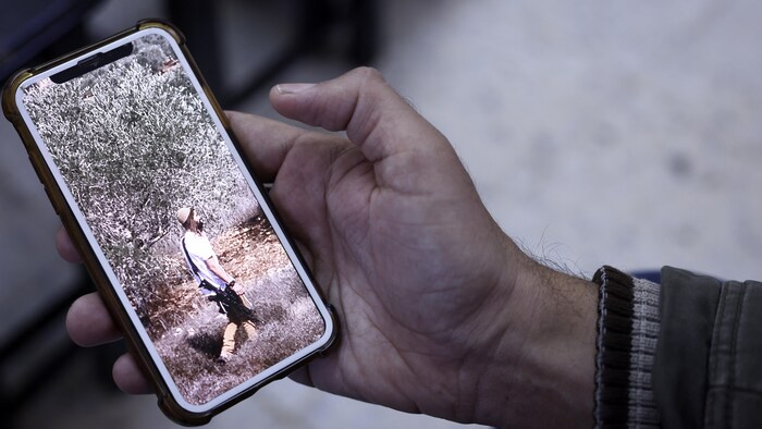 Un homme tient dans la main un téléphone sur lequel on voit un homme armé dans un camp d'oliviers.