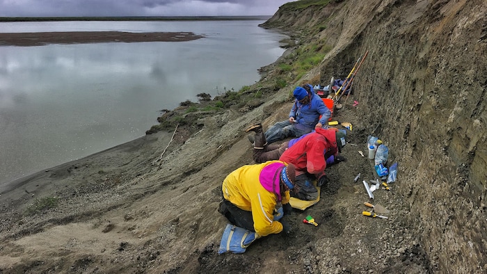 Des personnes recueillent des sédiments sur le bord d'une rivière.