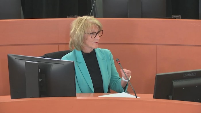 Une dame parle devant un micro et un ordinateur