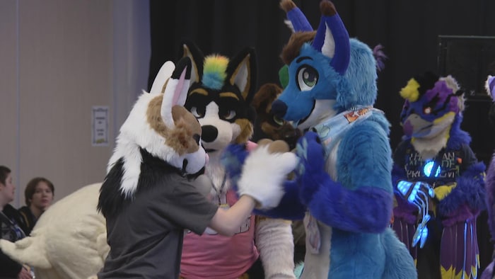 des furries entrain de s'amuser