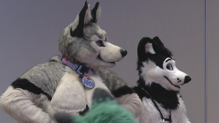 deux furries representant des loups lors de la Calfurry