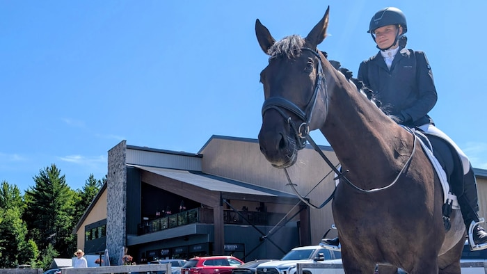 Une jeune cavalière sur son cheval.