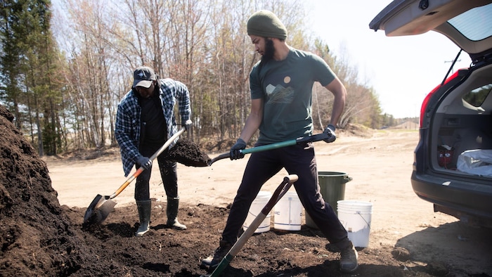 Deux citoyens peltent du compost.v