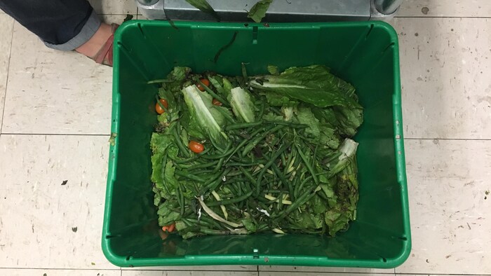 Des feuilles de laitue, des haricots verts et des tomates dans un bac à compost. 
