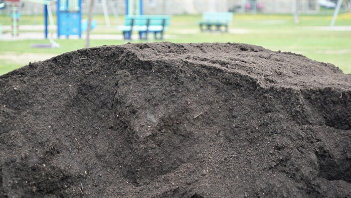 Une butte de compost.