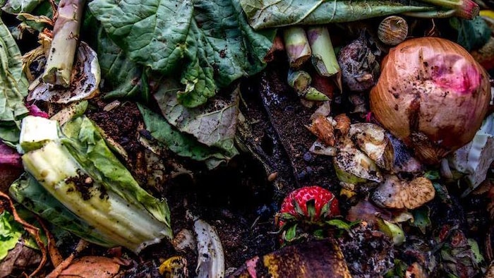 Des ordures pour le compostage.
