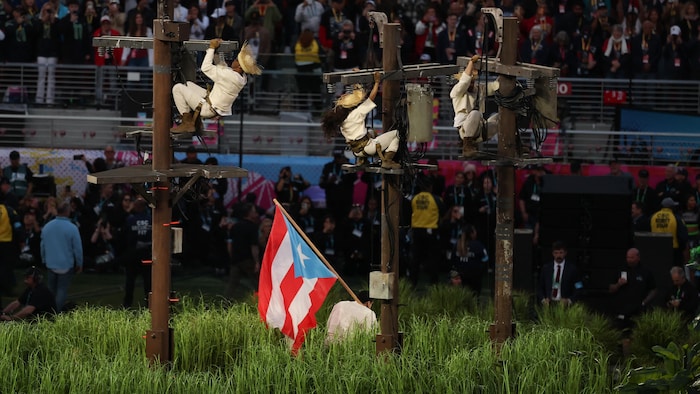 Un homme porte un drapeau de Porto Rico entouré d'herbes hautes et de poteaux électriques.