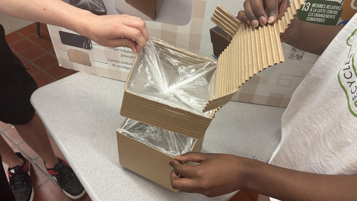 Plan rapproché d'une petite boîte en carton contenant un emballage en plastique.
