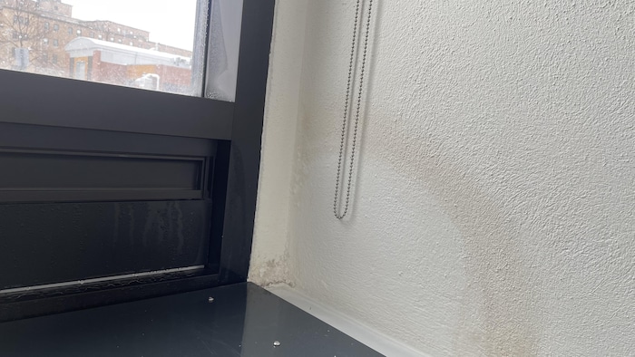 De la condensation et un cerne d'humidité sont visibles près d'une des fenêtres du musée.