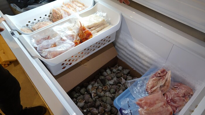 Des sacs sous vide et des buccins dans un congélateur.