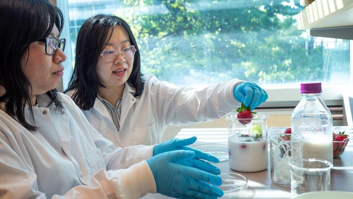 Deux femmes dans un laboratoire avec des fraises.