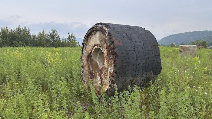 Une ancienne pièce de l'usine dans l'herbe. 