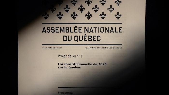Fronde des partis d'opposition contre le projet de Constitution du Québec |  Radio-Canada