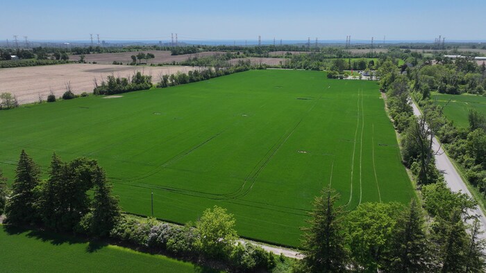 Photos aériennes (par drone) de la Ceinture de verdure de Duffins Rouge. Zones identifiées par le gouvernement de Doug Ford comme des terrains à développer. Prises de vue de champs vides, de champs d'agriculteurs.