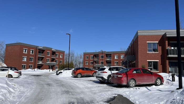 Des logements coopératifs.