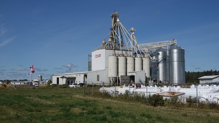 Plan d’ensemble du centre agricole qui compte une dizaines de silos et de convoyeurs à grains.